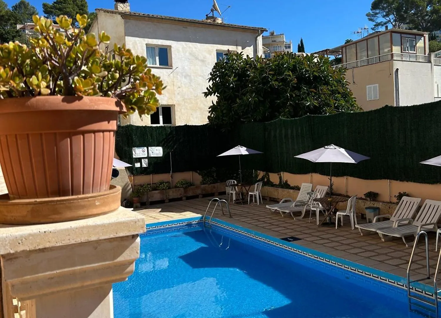 Hostal San Telmo - Adults Only location